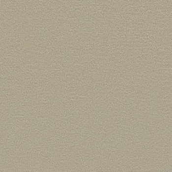 Vorwerk Nutria 8K47 beige Teppichboden – rechteckige Draufsicht, Velours, 49,41 €/m²